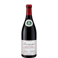 Louis Latour Pinot Noir Bourgogne 0,375 л