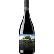 Vintae La Garnacha Salvaje del Moncayo 0,75 л