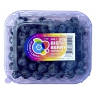 Голубика свежая Big Berry 250 г