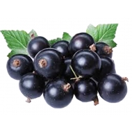 Cмородина черная Miriada Fruits 250 г