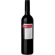 Santa Ana Caracter Shiraz - Malbec 0,75 л