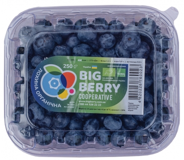 Голубика органическая Big Berry 250 г