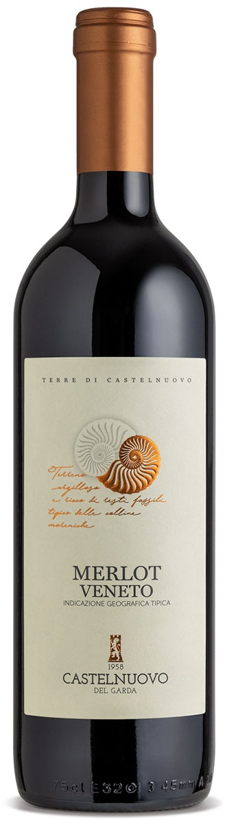 Cantina Castelnuovo Merlot 1,5 л